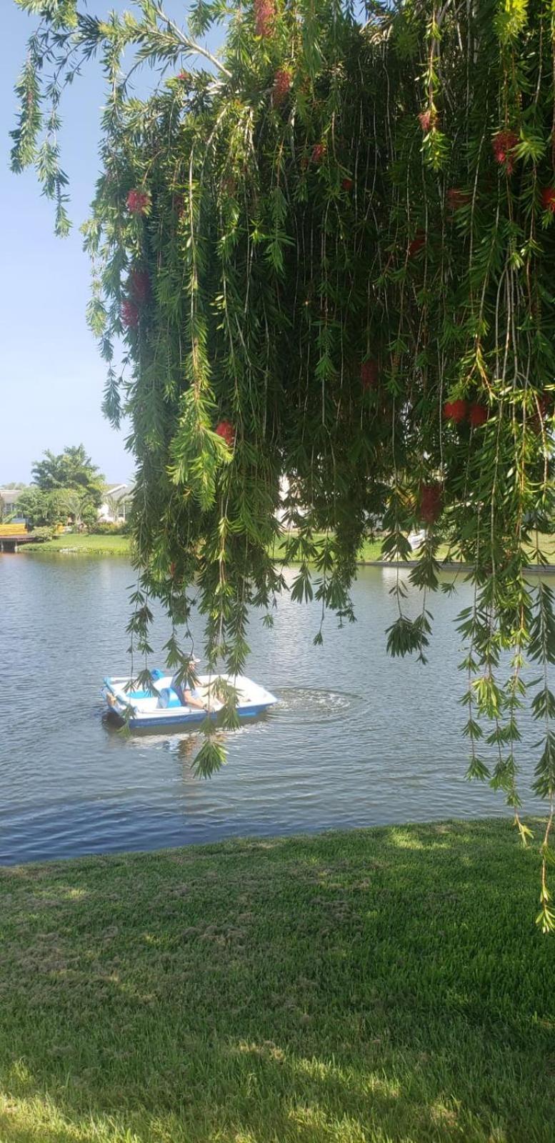 霍勒迪Near Clearwater And Tarpon Spring With Water View公寓 外观 照片