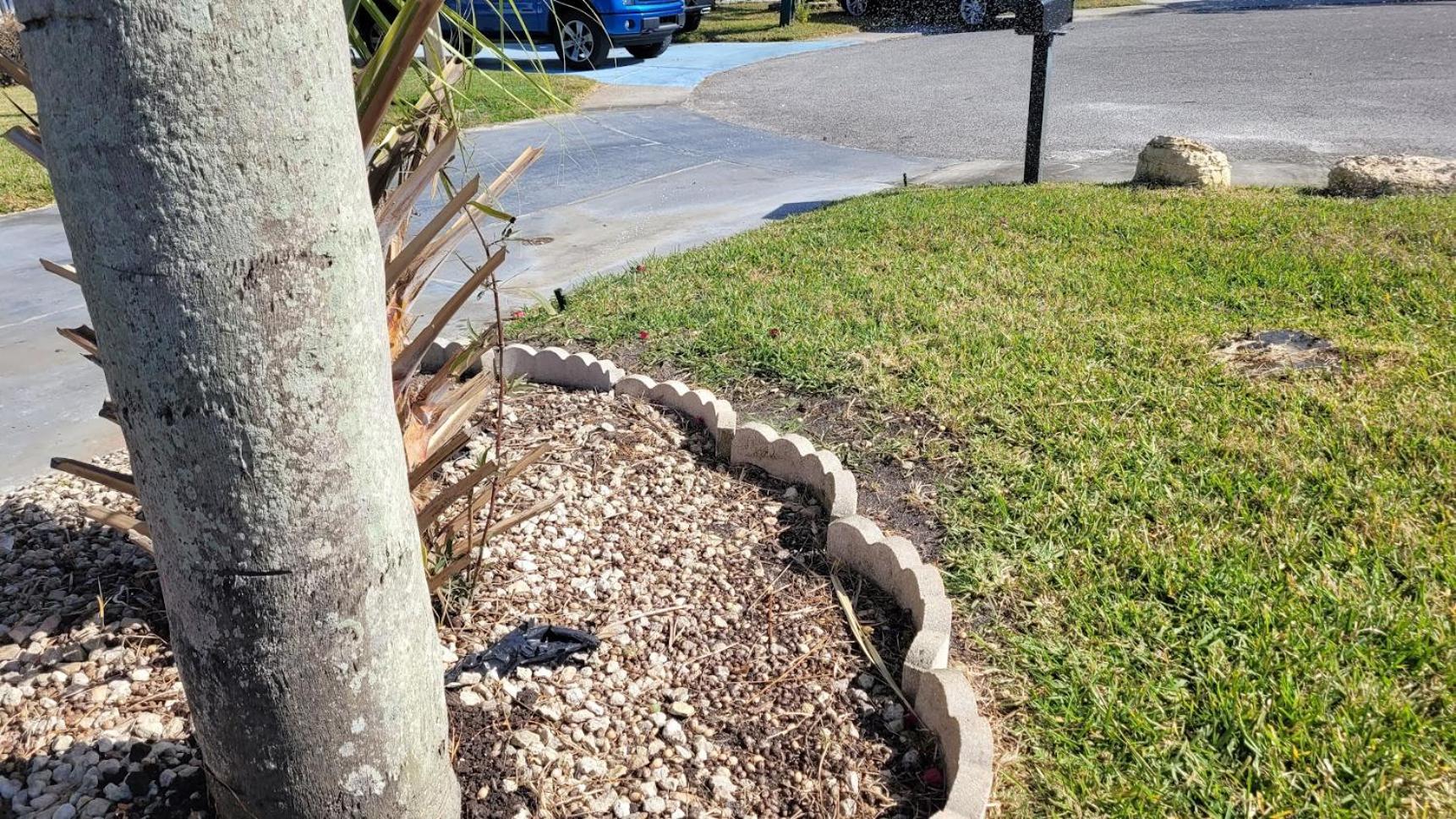 霍勒迪Near Clearwater And Tarpon Spring With Water View公寓 外观 照片